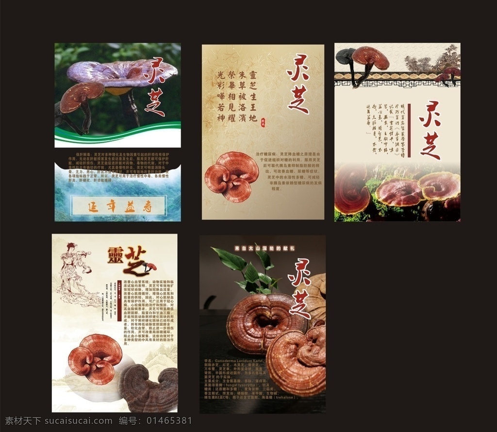 灵芝展板 灵芝 灵芝作用 野灵芝 展板 折页 宣传册