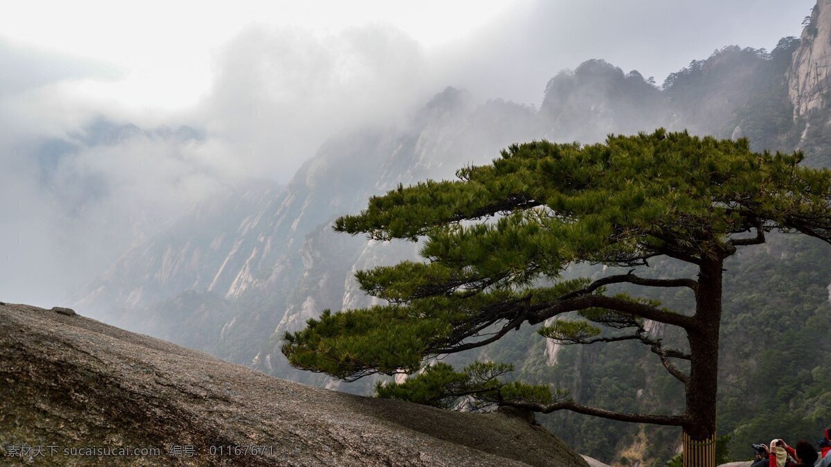 高清 安徽 黄山 风景 唯美 风景图片 山脉 山峰 山丘 松树 迎客松