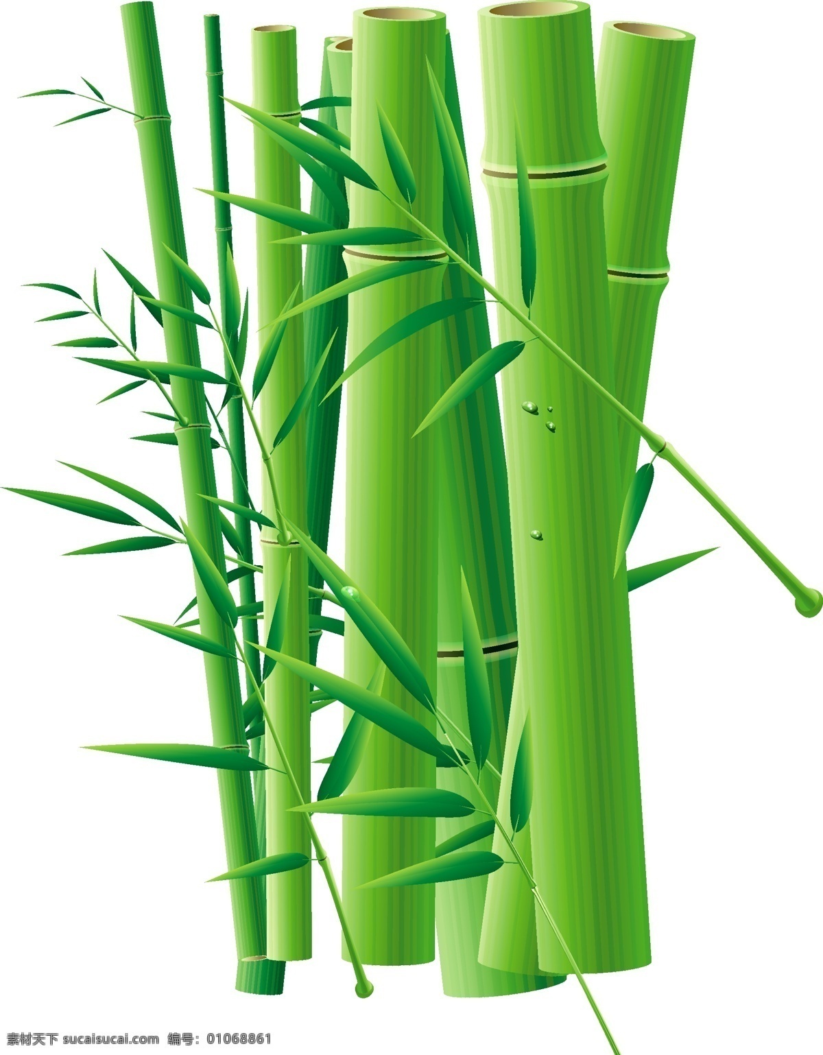 清新 绿色 竹子 元素 竹竿 竹叶 ai元素 免扣元素