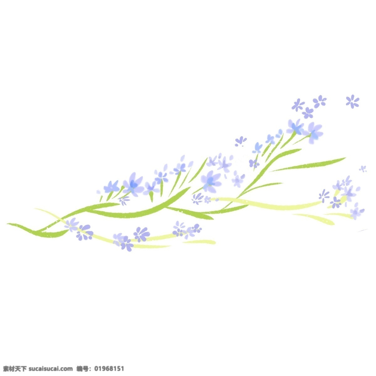 紫色 春天 花 藤 插画 紫色的花朵 卡通插画 花藤插画 藤蔓插画 绿叶插画 花朵插画 绿色的藤条