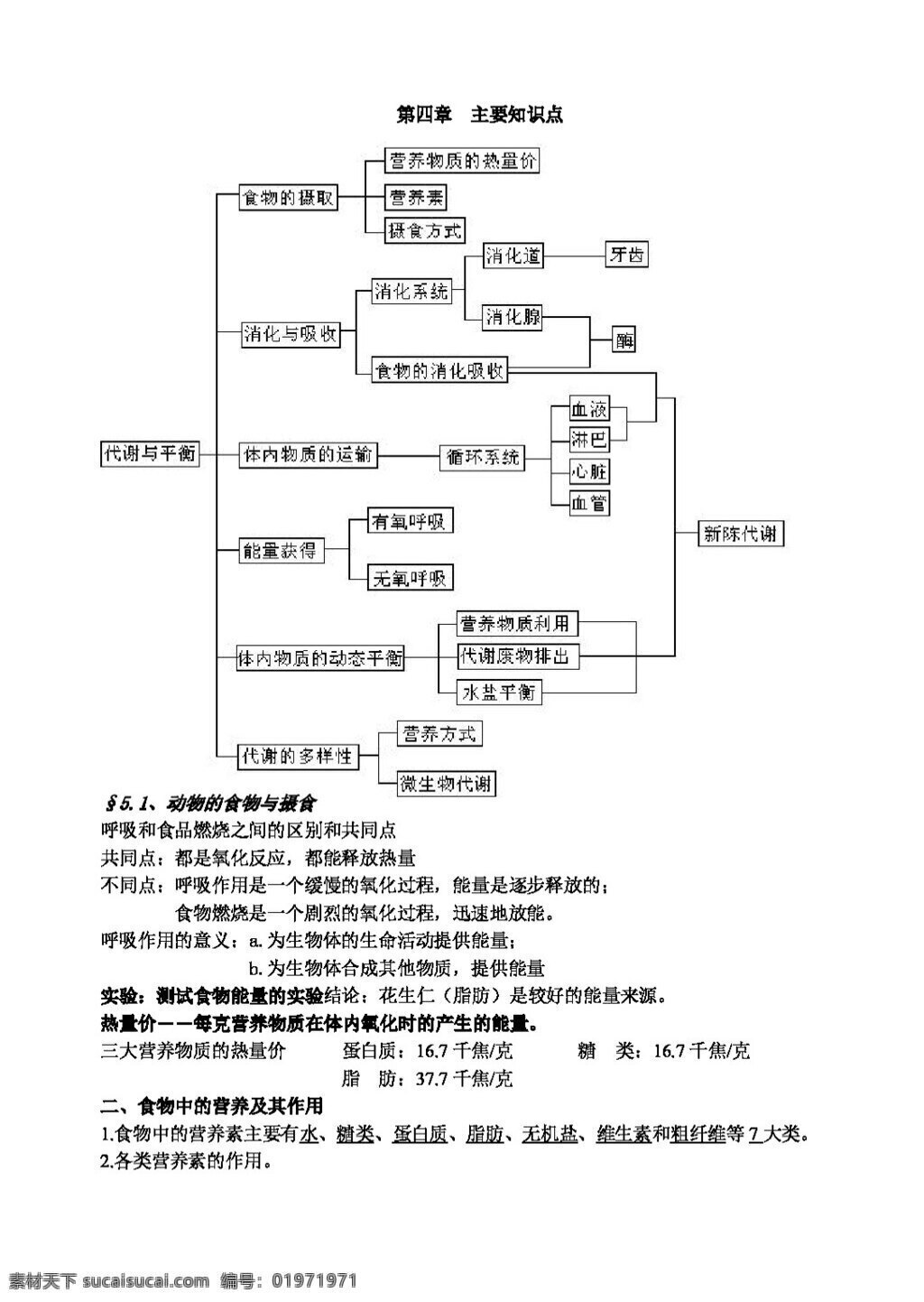 九 年级 上 科学 第四章 复习提纲 试题试卷 浙教版