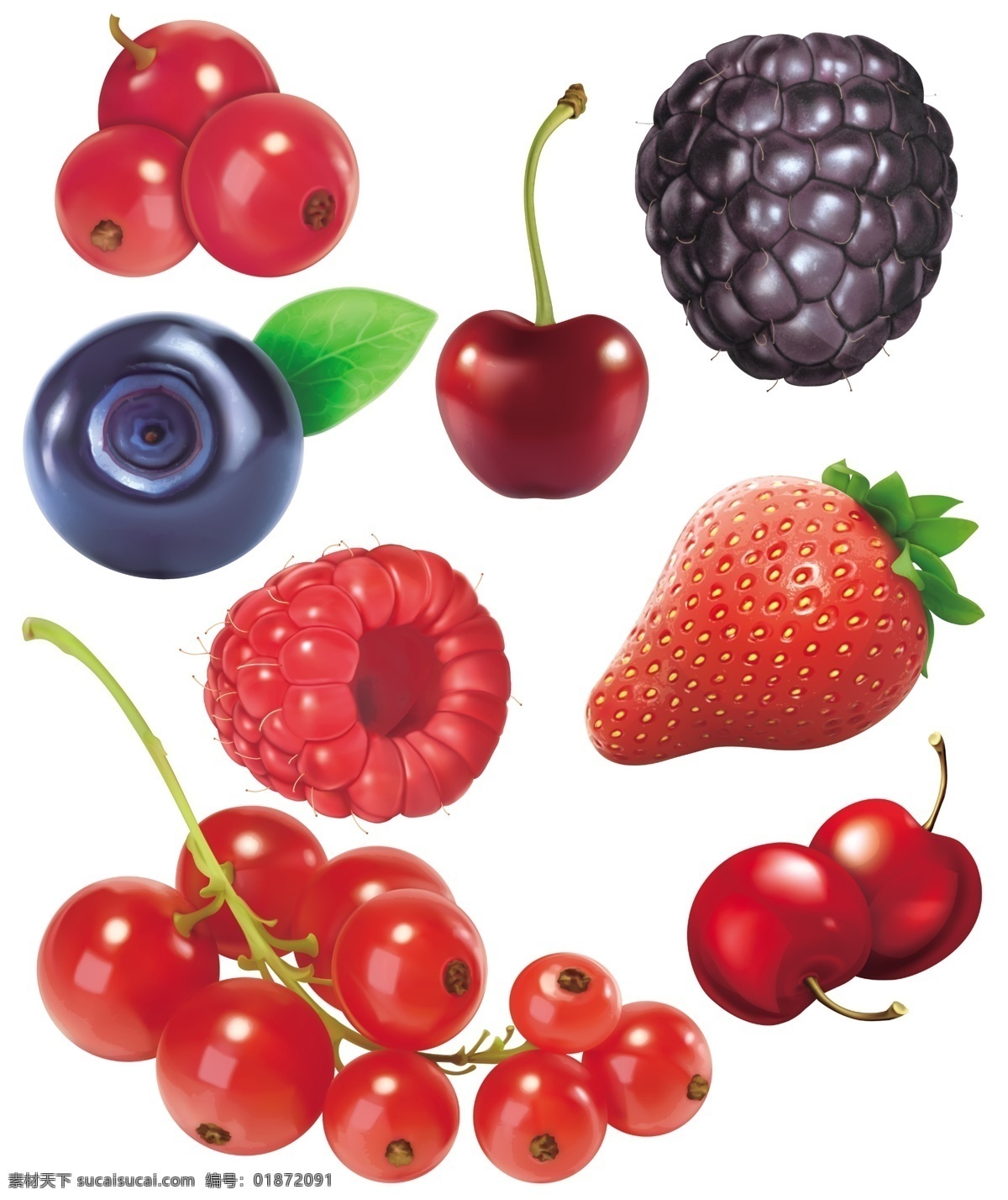 水果集合 草莓 蓝莓 樱桃 蔓越莓 山楂 桑葚 水果 分层 白色