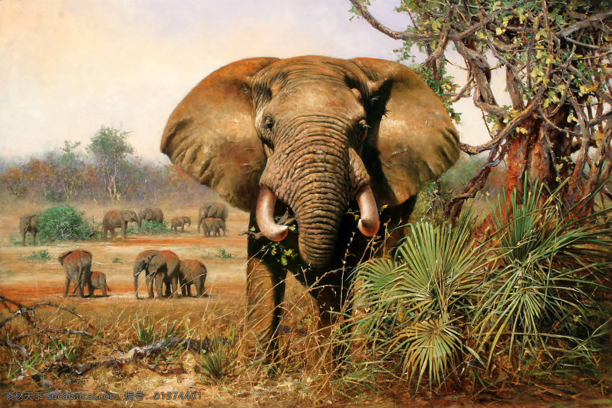 大象 动物 高清图片 绘画书法 文化艺术 无框画 油画 油画画稿 装饰画 油画动物 油画大象 油画设计 装饰素材