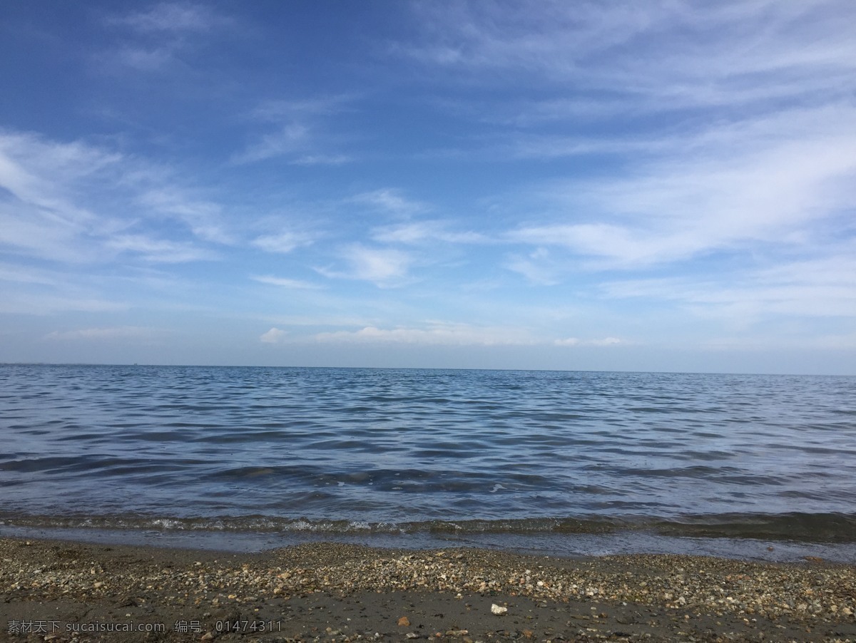 青海湖 海水 蓝天白云 大海 飞鸟 旅游摄影 国内旅游