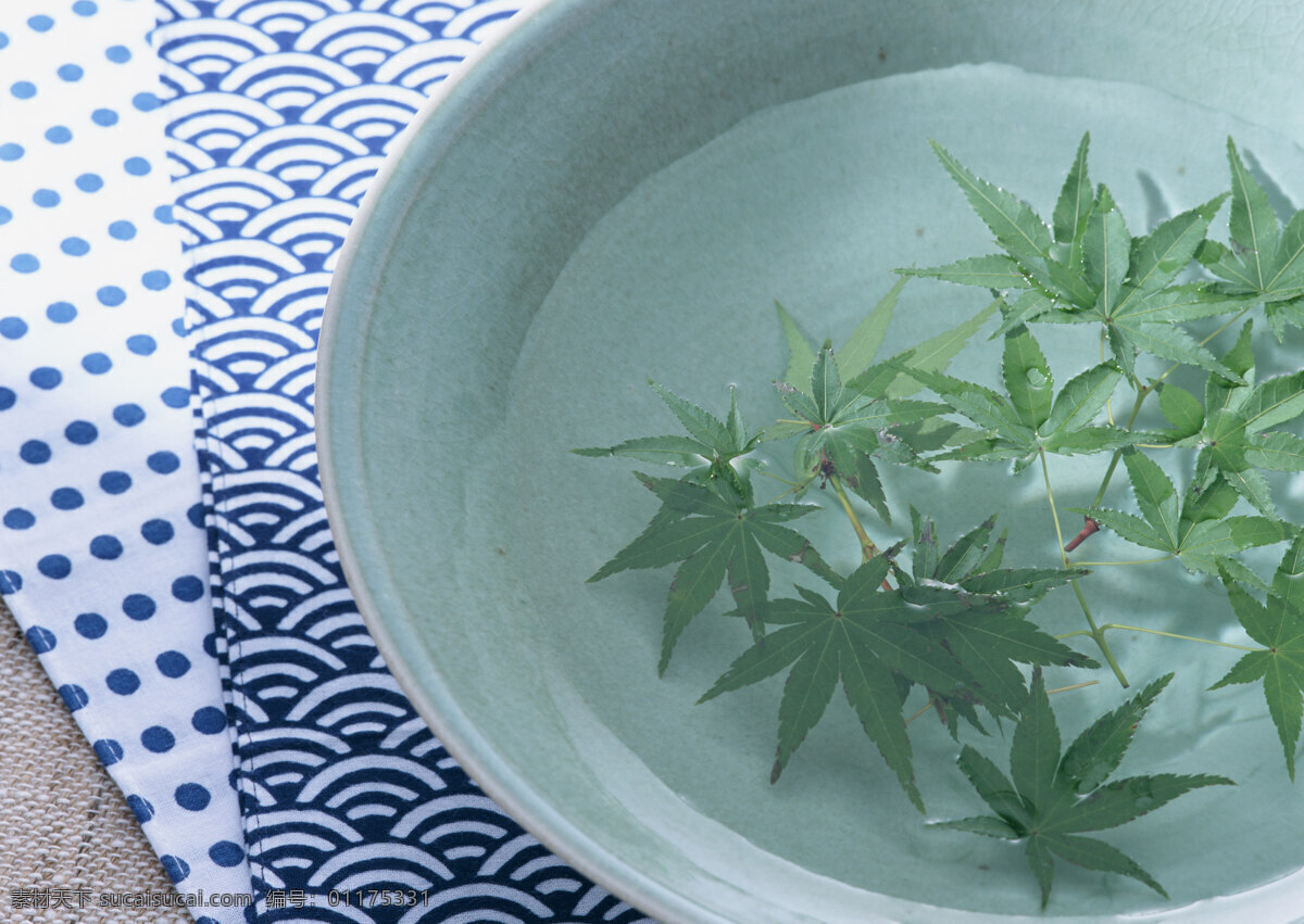 树叶 枫叶 绿叶 植物 桌布 布巾 纹理 纹路 花纹 花布 餐布 波浪纹 清水 陶瓷碗 生活意境摄影 生物世界 树木树叶