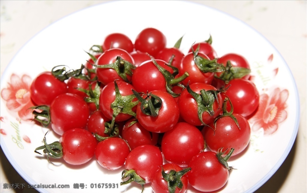 小西红柿 圣女果 盘中圣女果 红色果子 生物世界 蔬菜