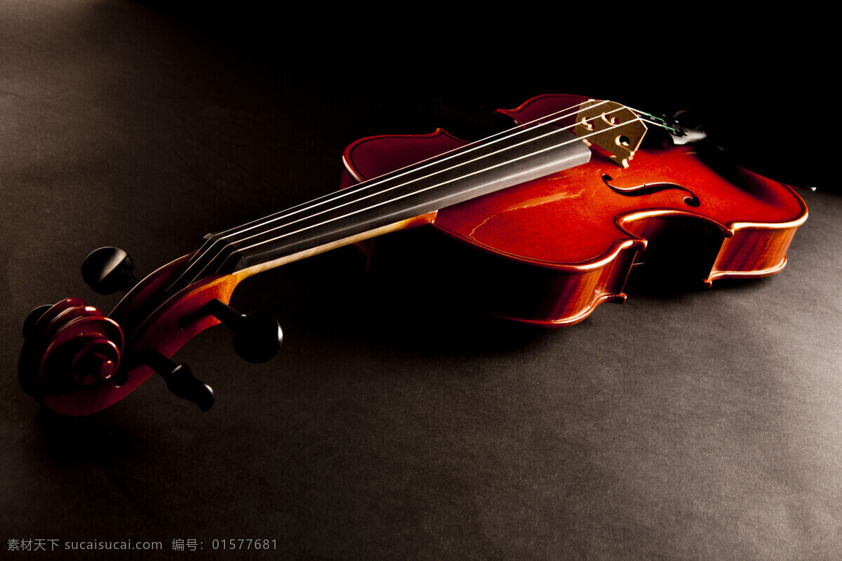 西洋乐器摄影 小提琴 弦乐器 乐器 西洋乐器 影音娱乐 生活百科 黑色