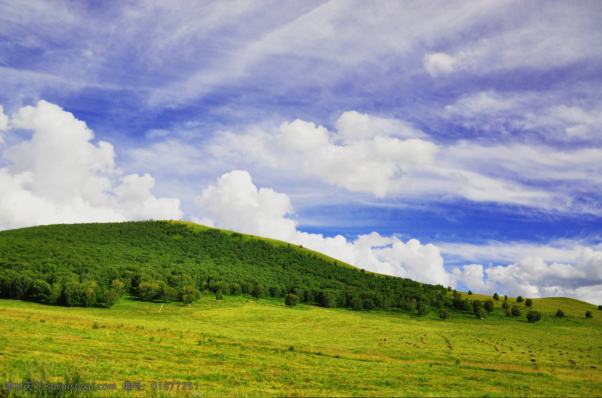 内蒙草原图片 内蒙草原 自然风光 旅游摄影 蓝天白云 羊群 自然景观 自然风景