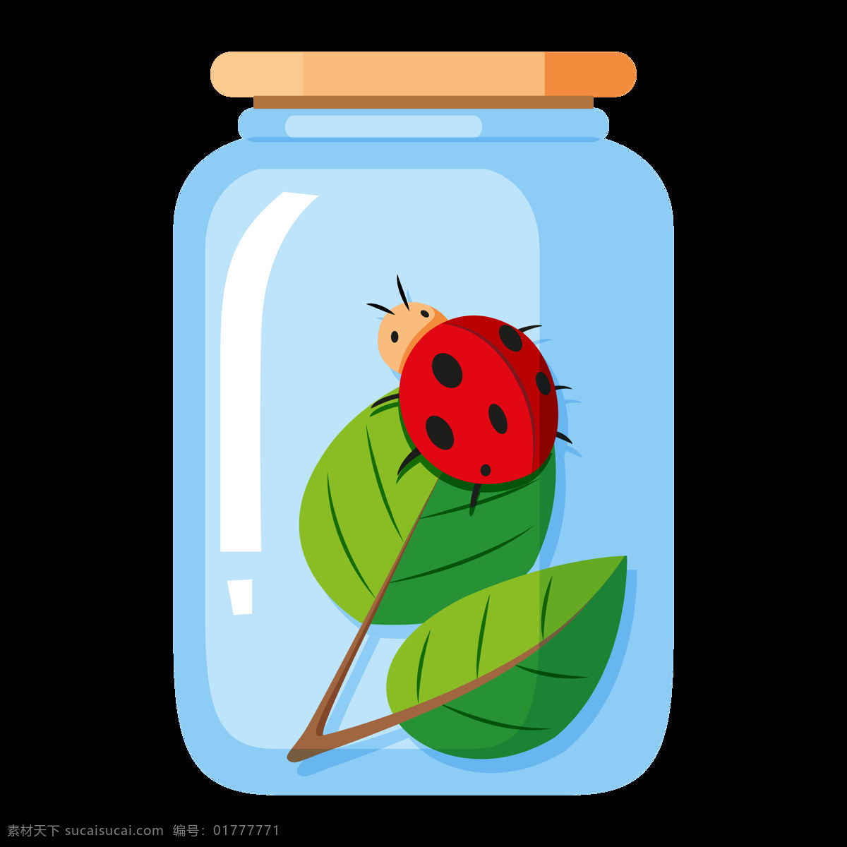 卡通昆虫图片 手绘昆虫图片 昆虫透明底 png免扣图 png透明底