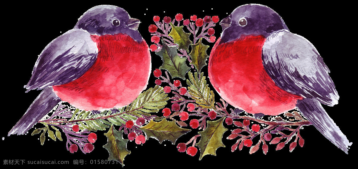 卡通 水彩 鸟类 透明 装饰 设计素材 背景素材