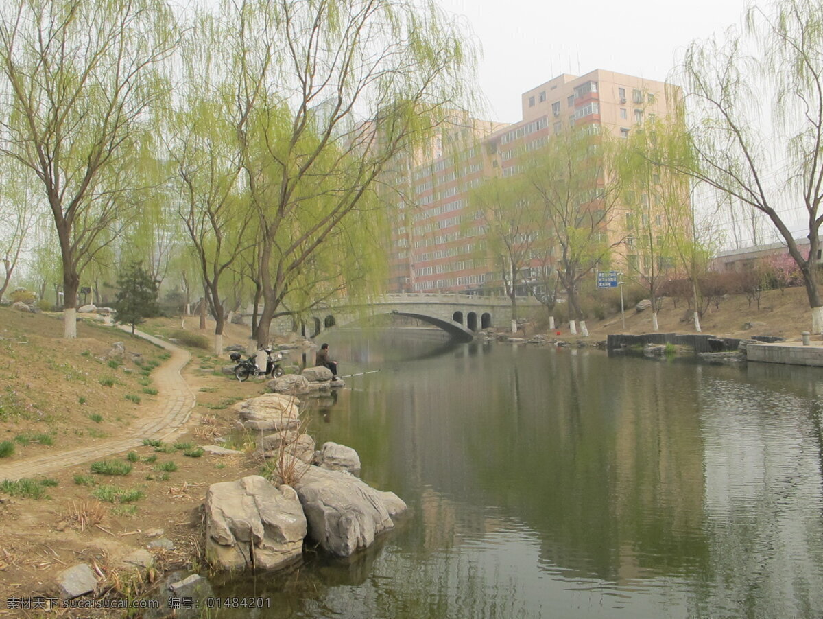 北京 街景 初春 动物园 风景 建筑 郊游 柳树 水面 生活 旅游餐饮