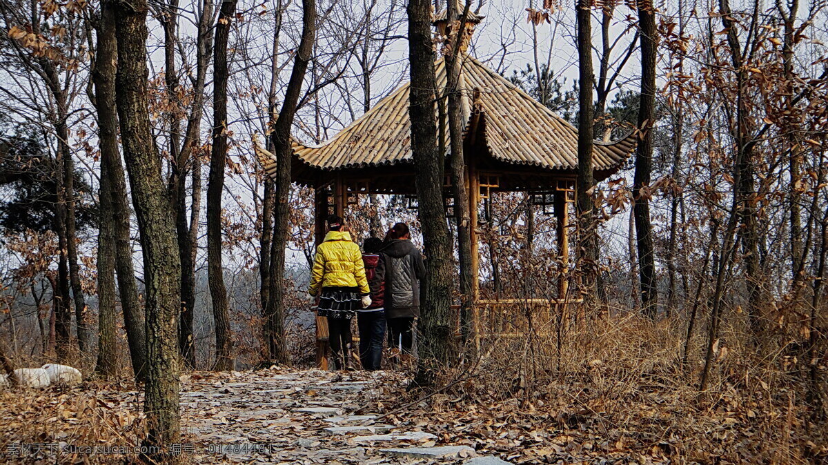 竹亭 自然风景 自然景观 游客 矢量图 日常生活