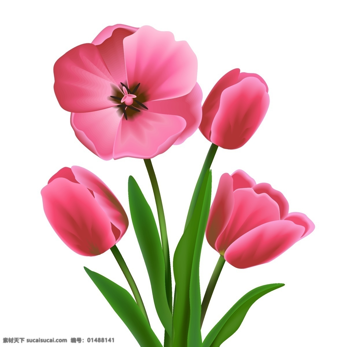彩花设计 花卉 图案 自然 春 色 叶 植物 色彩 花朵 美丽 春花 花瓣 有色 草木 盛开