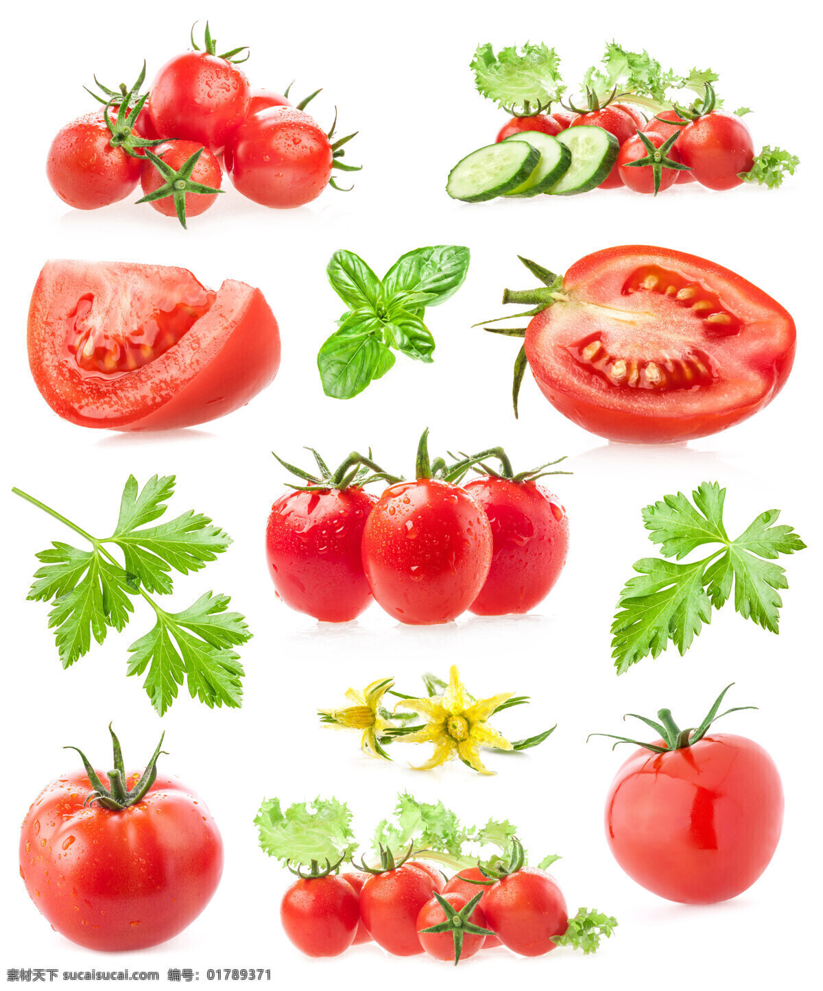 新鲜的西红柿 水果 美味 新鲜 西红柿 圣女果 生物世界 蔬菜
