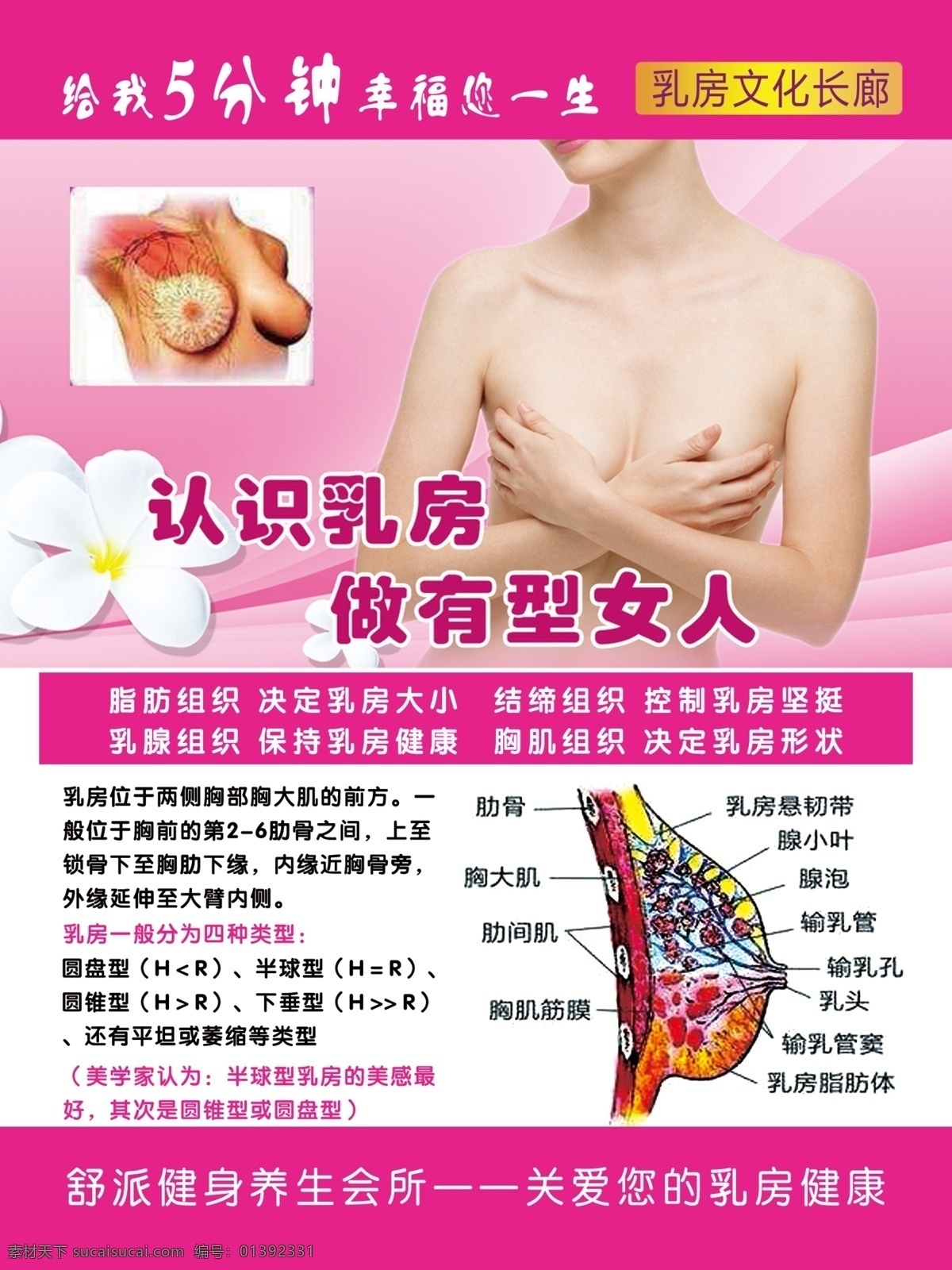 乳房健康 乳房健康展板 乳房护理 乳房保养 乳房健康海报 乳房海报 海报 分层
