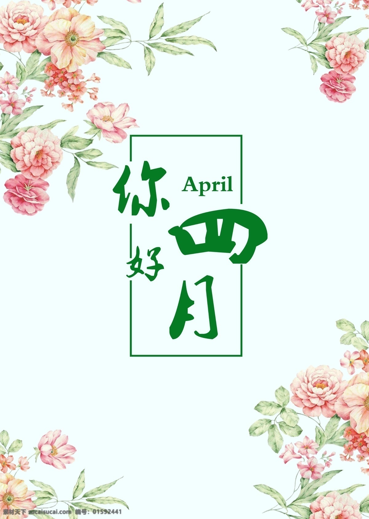 你好 四月 节日 海报 蔷薇花 april 春意