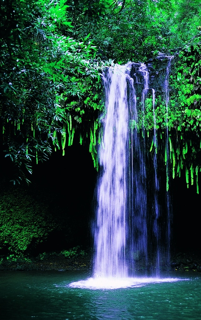 风景图片 自然景观 自然风光 大自然风景 风景壁纸 大自然 蓝天白云 电脑壁纸 创意图片 美景 美景图片 美景壁纸 旅游风景 风景名胜 植物 绿色植物 婚庆图片 婚庆背景 草原 大草原 草原风景 草地 唯美风景 底纹边框 背景底纹