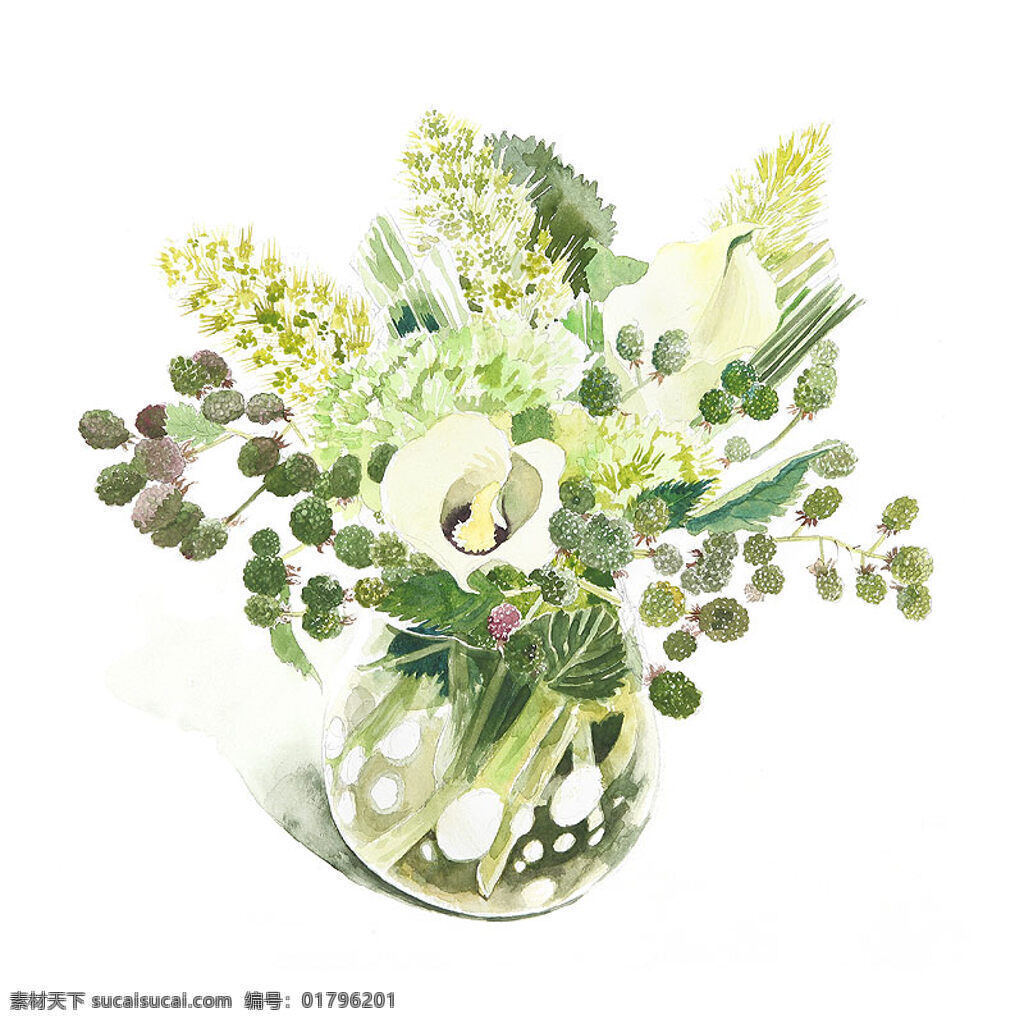 位图免费下载 插画 服装图案 日本 位图 插画师 柘植彩子 面料图库 服装设计 图案花型