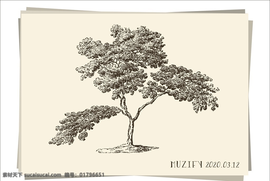 树 手绘稿 树木 树叶 绿植 植物 素描画 生物世界 树木树叶