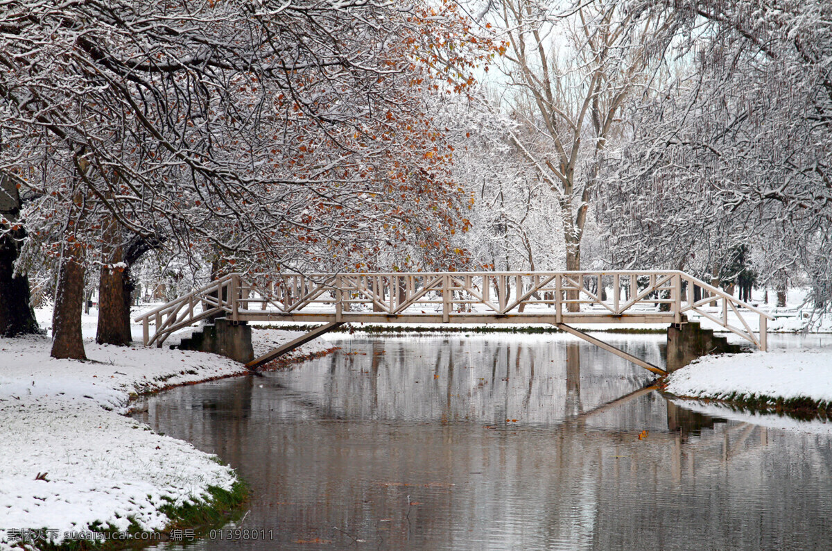 冬天免费下载 枯树 流水 小桥 雪 风景 生活 旅游餐饮