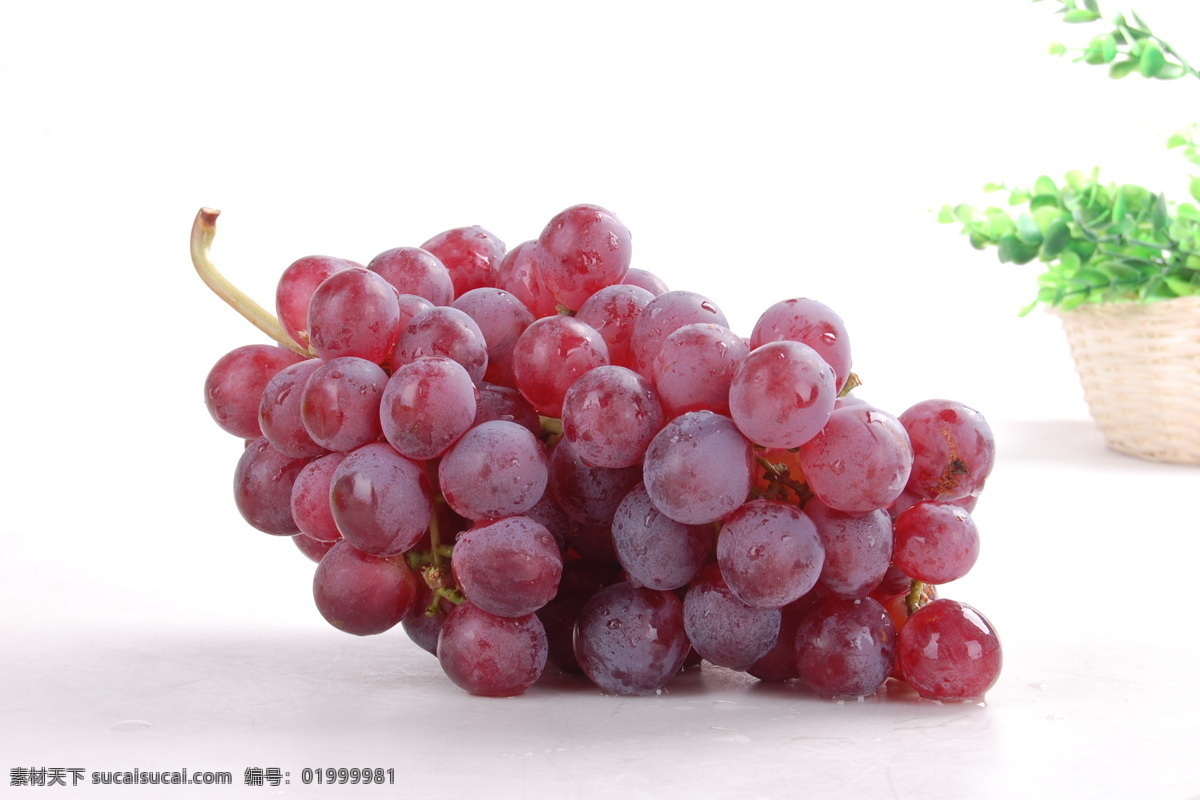 提子 新鲜提子 美国红提 葡萄 提子摄影 红提子 新鲜葡萄 水果 新鲜水果 水果蔬菜 摄影水果 生物世界