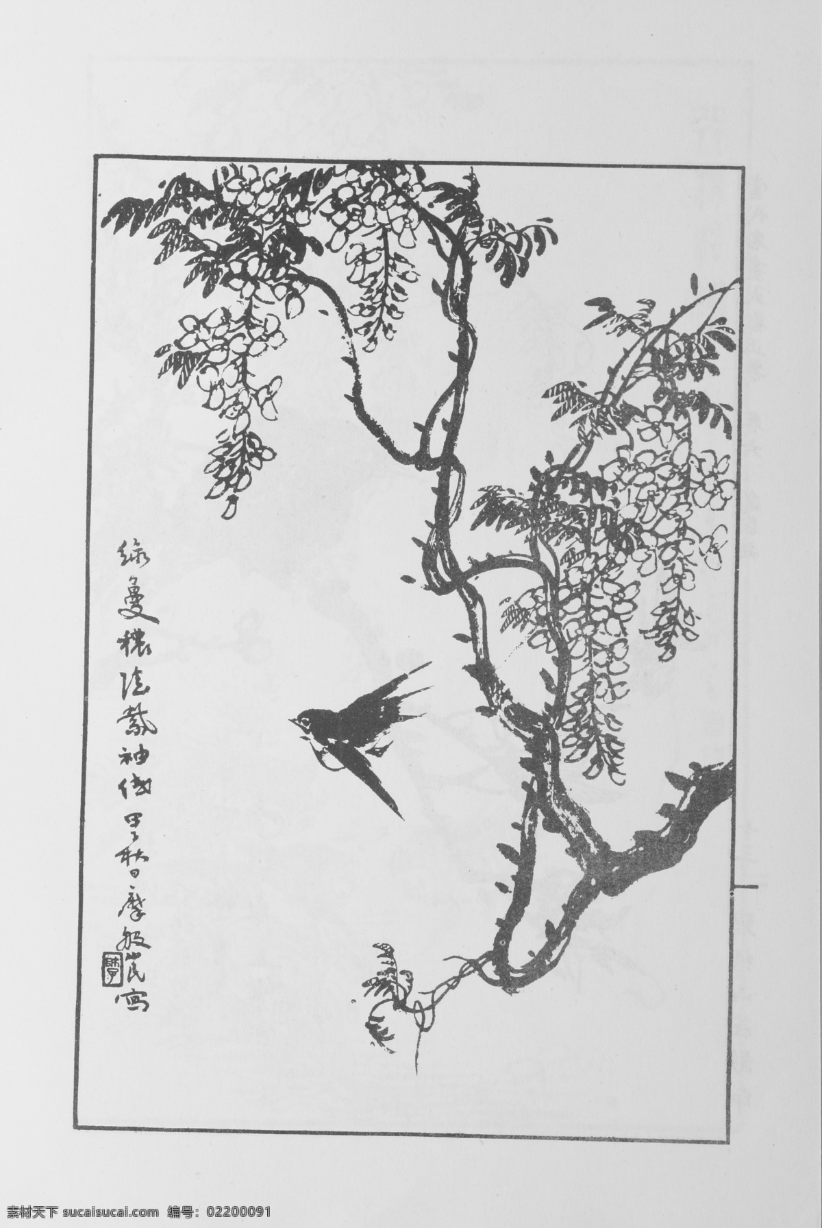 鸟兽画 中国画 当代 名画 大观 正 集 设计素材 花鸟画篇 中国画篇 书画美术 白色