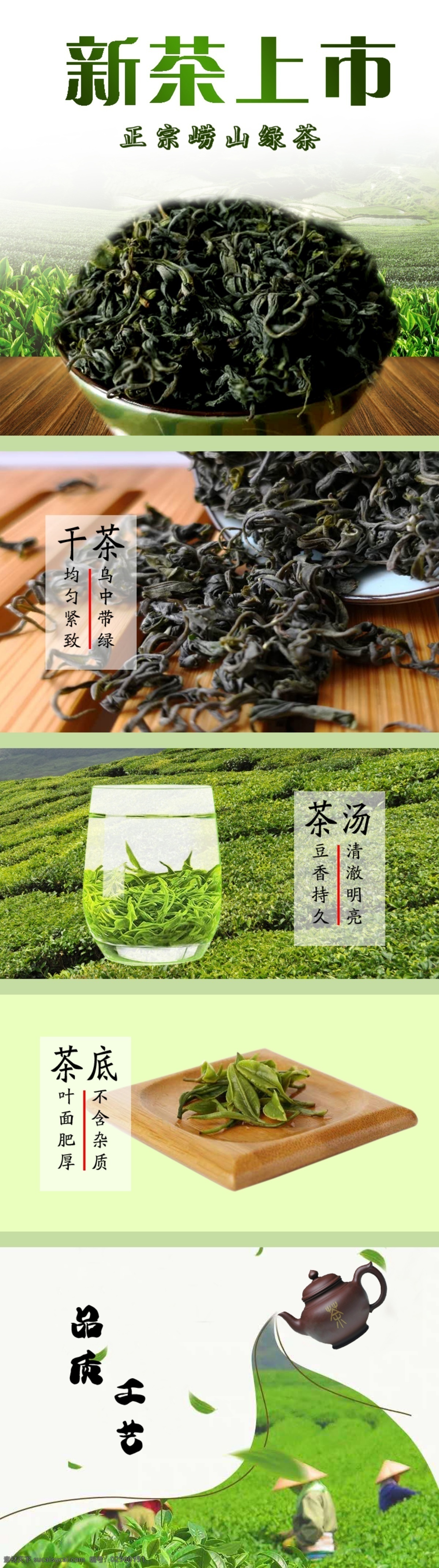 新茶上市 绿茶 崂山绿茶 淘宝详情页 茶叶 分层