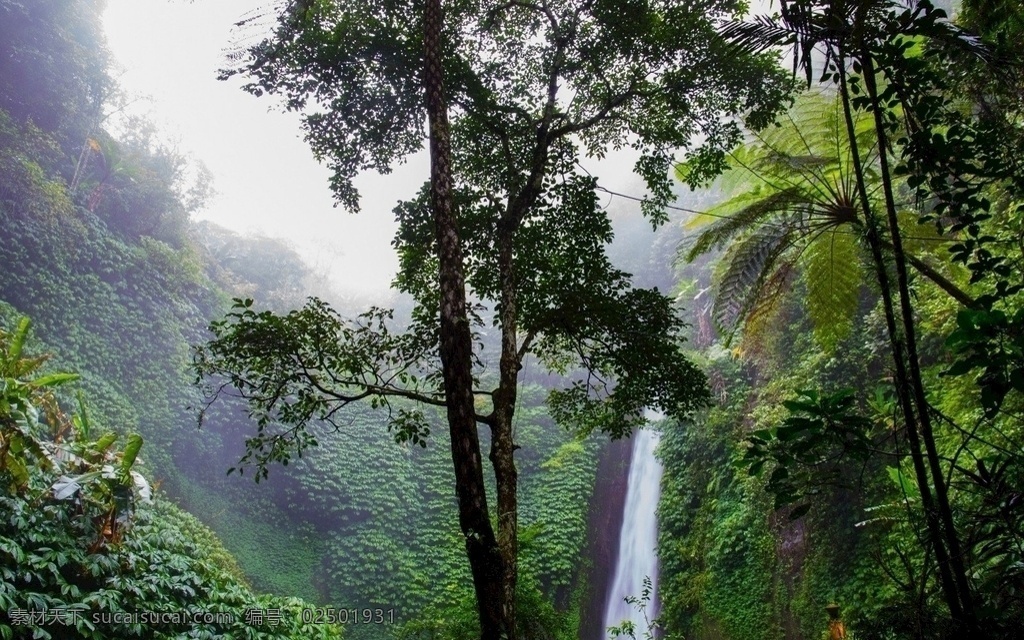 山中瀑布 自然 森林 瀑布 丛林 自然景观 山水风景