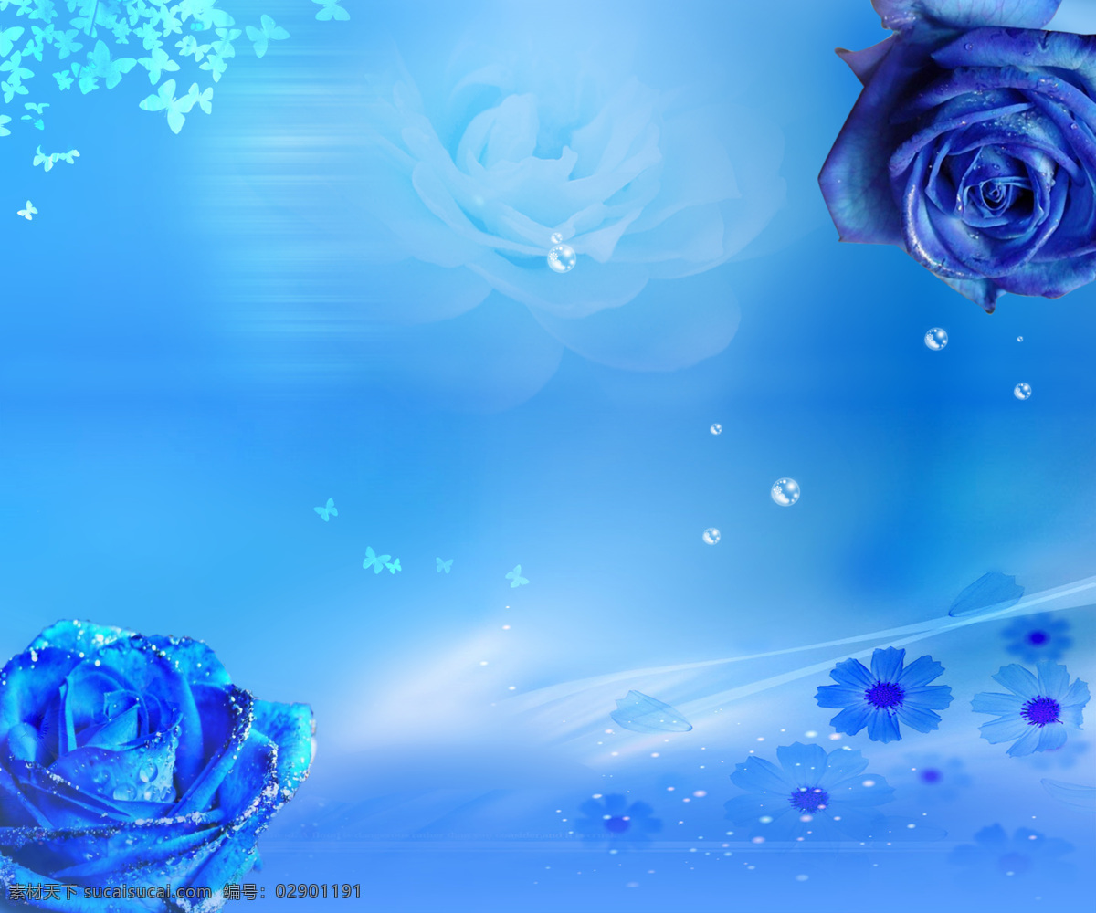 蓝色 玫瑰 装饰画 浪漫 神秘 装饰图