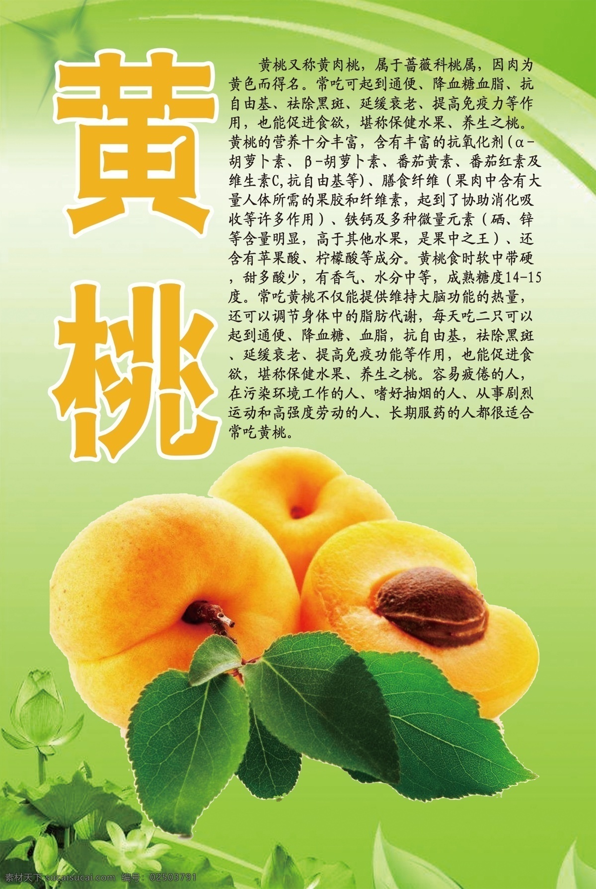 水果 文化 系列 黄桃 水果文化 展板模板
