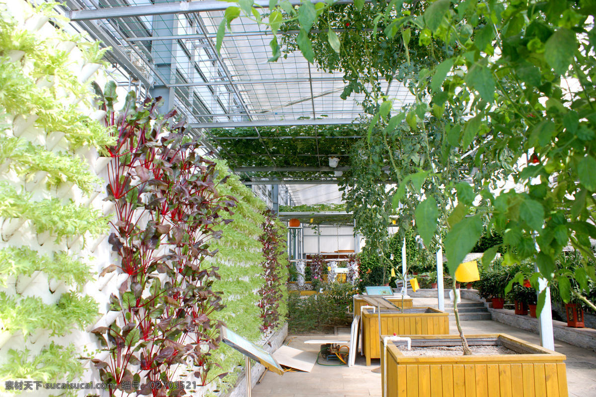 生态大棚 生态园区 生态餐厅 生态园 生态 绿色 餐桌 植物 蔬菜 餐厅 旅游 风光 风景 人文景观 旅游摄影 田园风光 自然景观