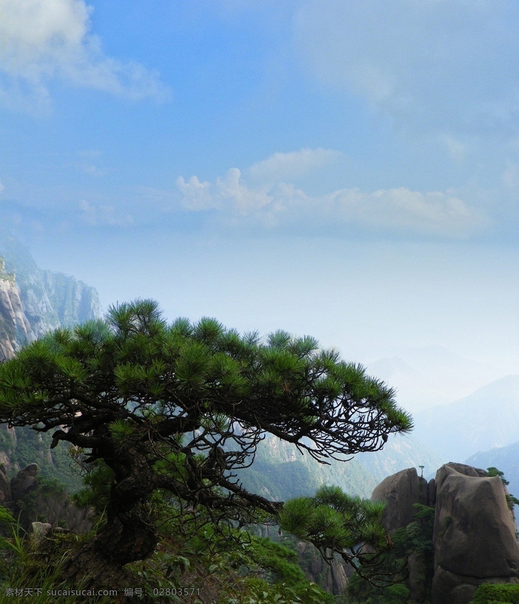 三清山风光 三清山 高山 松树 悬崖 峭壁 蓝天 自然风景 自然景观