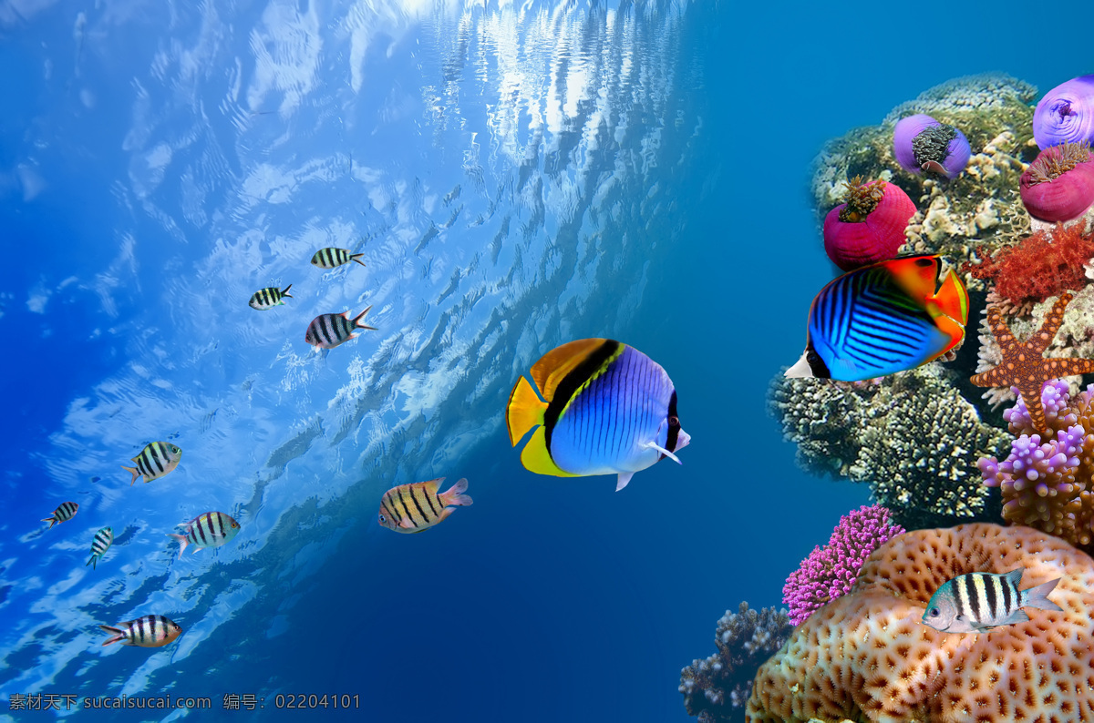 海底世界 彩色 大海 风光 海底鱼 海水 海洋 海洋生物 景观 底世界 鱼儿 珊瑚礁 珊瑚 梦幻 唯美 蔚蓝 天堂 仙境 五彩斑斓 五颜六色 美景 鱼类 生物世界