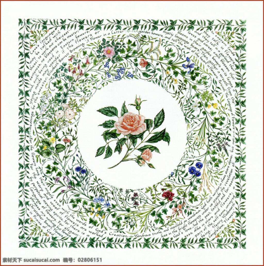 手绘 花卉 花边 系列 文化艺术 绘画书法 设计图库 240