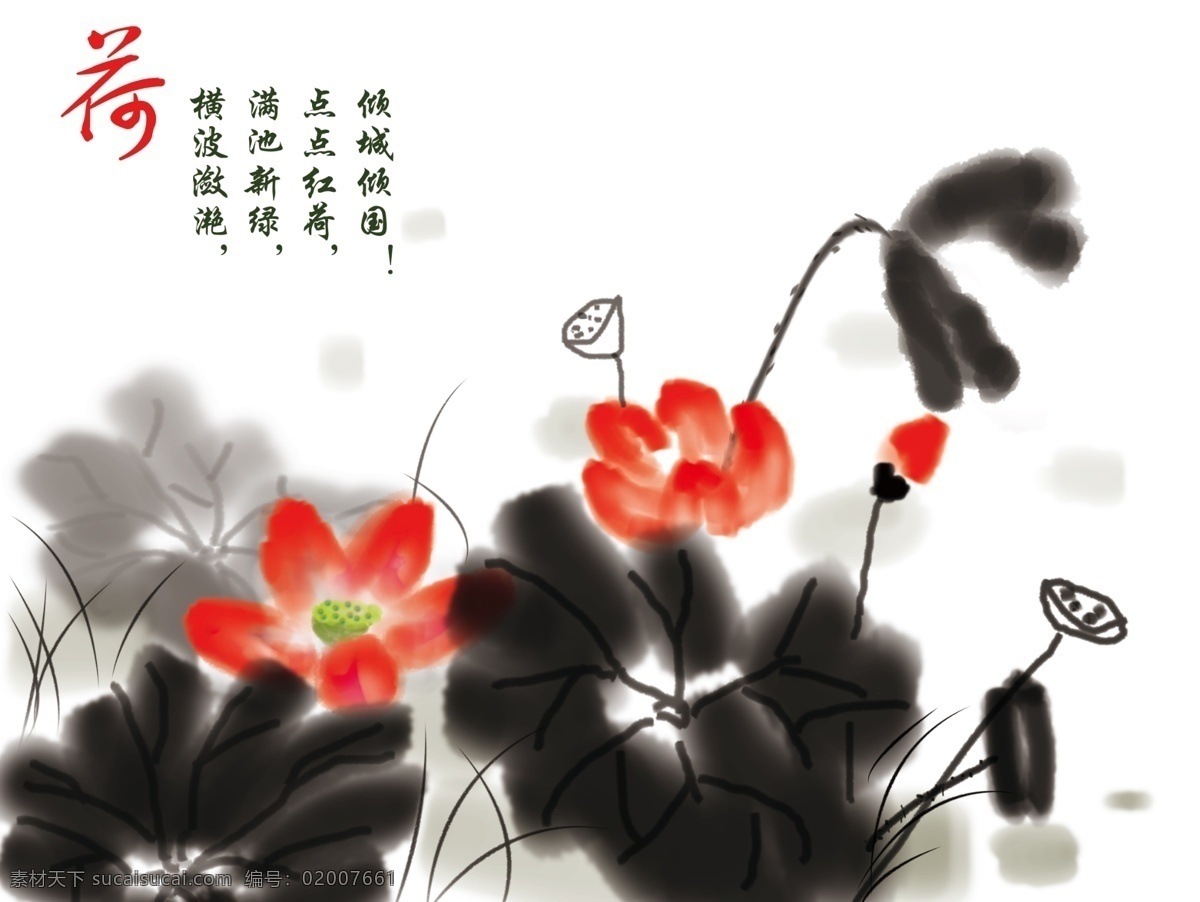 国画荷花 荷花国画 荷花图 中国画荷花 水墨画荷花 水墨荷花 爱莲说 荷花 莲蓬 荷叶 各类荷花 夏日荷花 蜻蜓精美荷花 荷花的图片 荷花壁纸 荷花照片 荷花水墨画 水墨荷花图 花 荷花素材 生物世界 花草