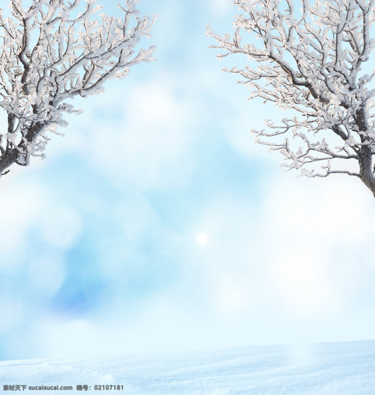 美丽 冬天 雪地 风景 美丽冬天风景 冬天雪景 雪地上的树 美丽风景 山水风景 风景图片