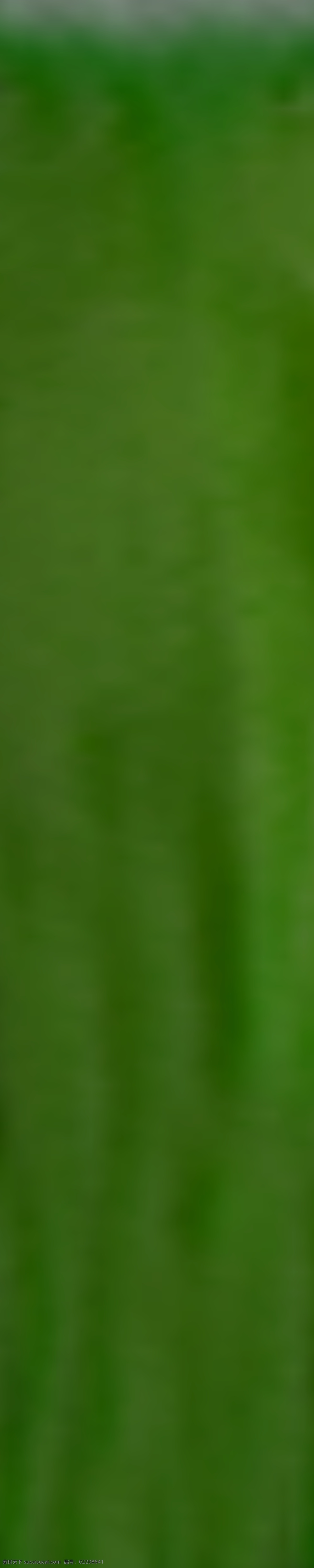 3d设计模型 max 餐厅 家居 建筑设计 模型 室内模型 源文件 中式餐厅 装修 中式 模板下载 vray模型 室内 室外 全