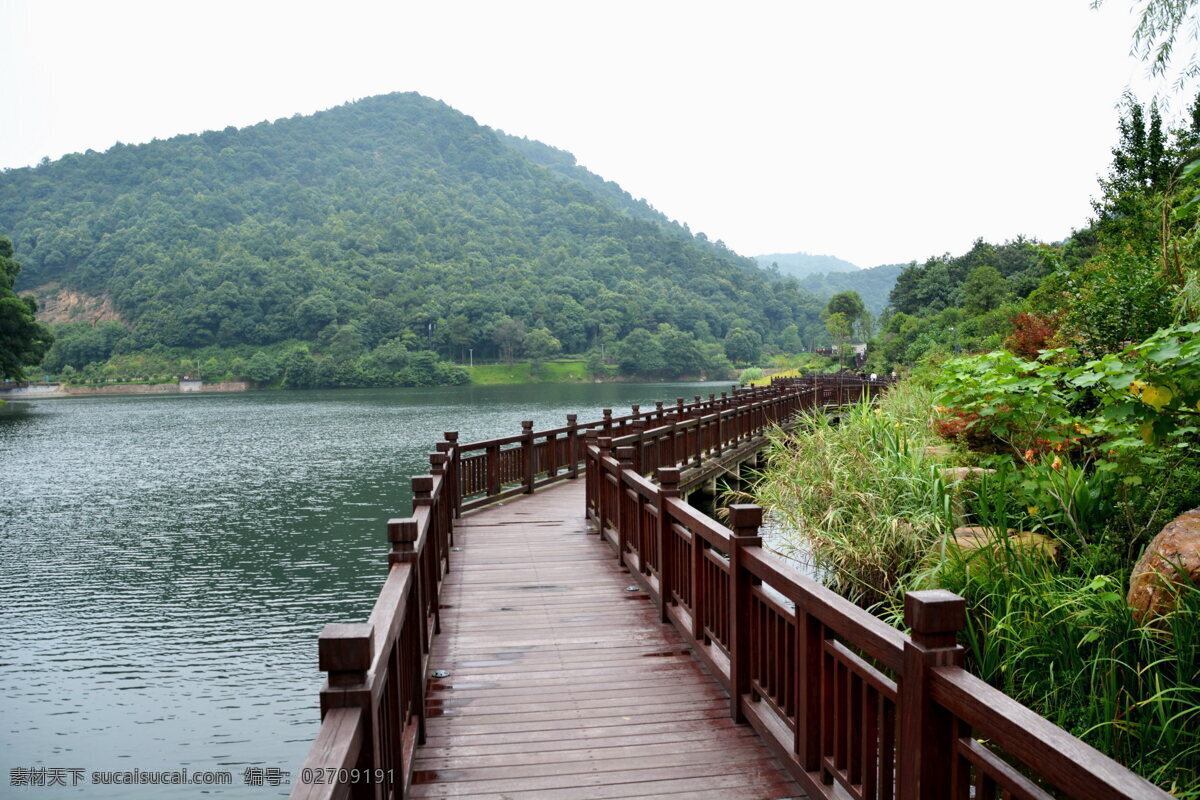 长沙 桃花 岭 公园