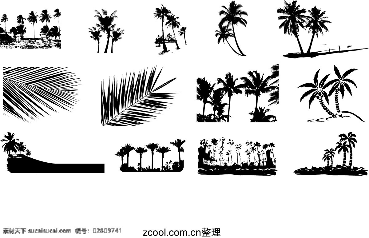 椰树 剪影 元素 矢量 树叶 生物世界 树木树叶 矢量图库