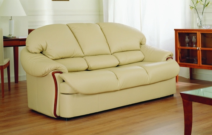 现代 光 颜色 三个 座位 沙发 欧洲风格的 现代的毛皮 3d模型素材 其他3d模型
