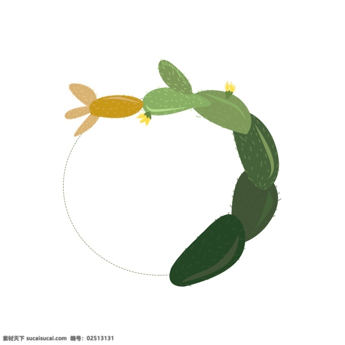 仙人掌 植物 绿色 插 画风 边框 小清新 插画风 植物边框