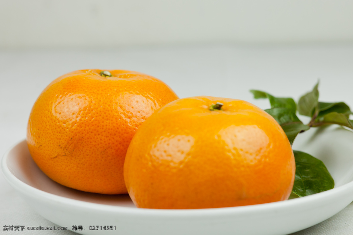 茂谷柑 橙色 橙子 农产品 生物世界 水果