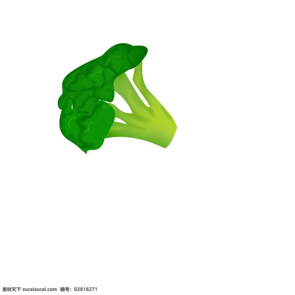 手绘 蔬菜 花菜 插画 绿色的花菜 新鲜的蔬菜 卡通插画 手绘蔬菜插画 有机的菜花 有机的蔬菜