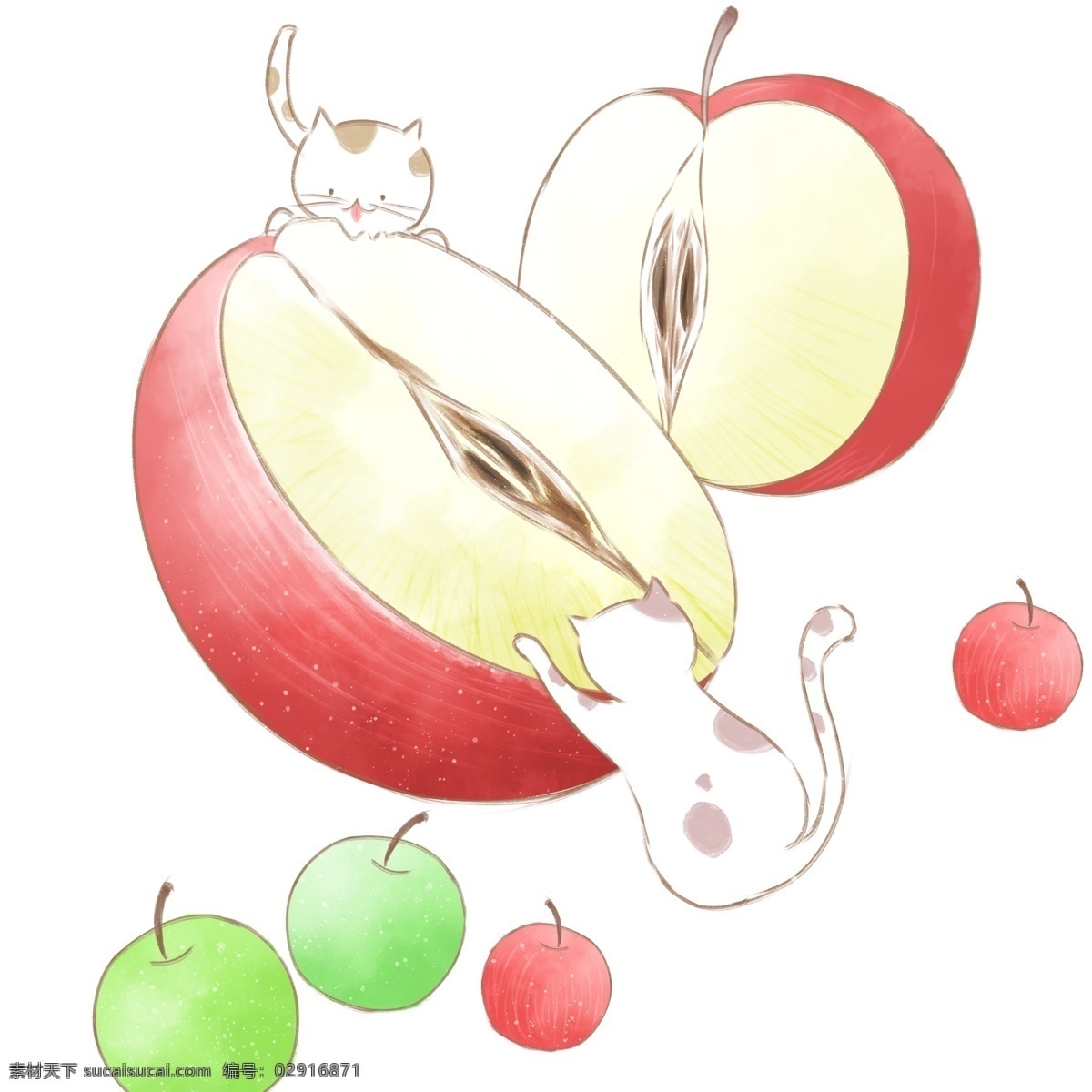 手绘 小 清新 苹果 吃 猫咪 小清新 插画 水果 卡通 青苹果 红苹果 动物