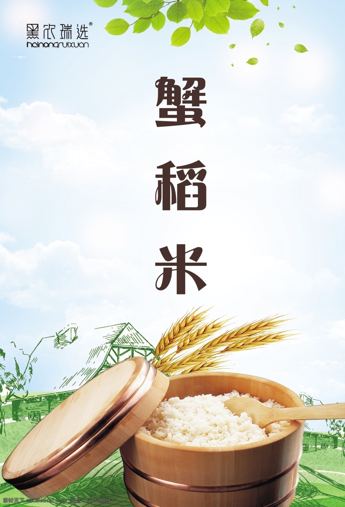 蟹稻米 大米 麦穗 清爽背景 米