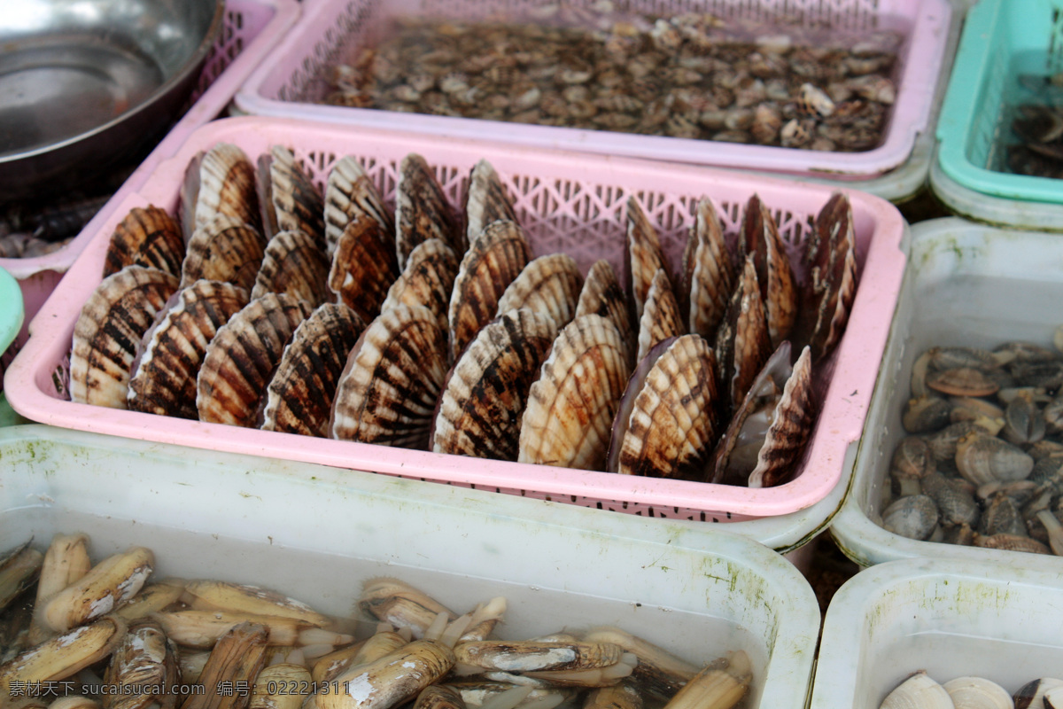 海鲜市场 海鲜 市场 扇贝 蛏子 蛤蜊 花螺 餐饮美食 传统美食