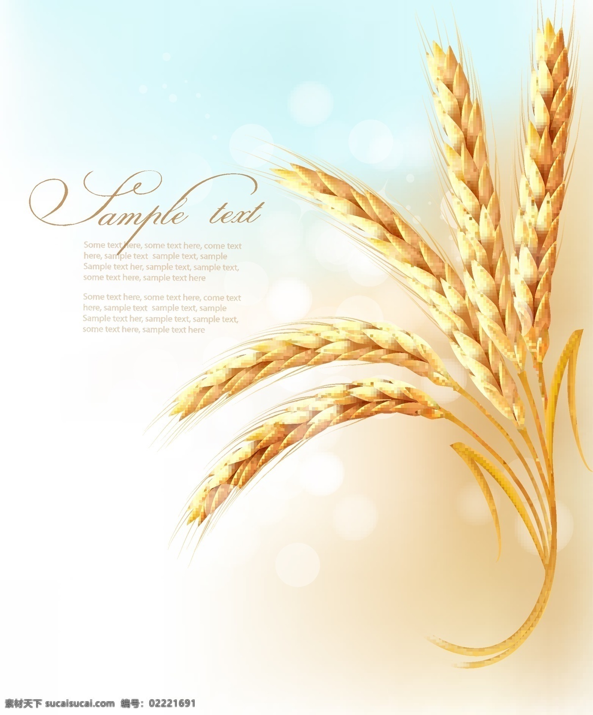 麦穗小麦 麦穗 小麦 麦子 金色 手绘 矢量 餐饮美食 生活百科