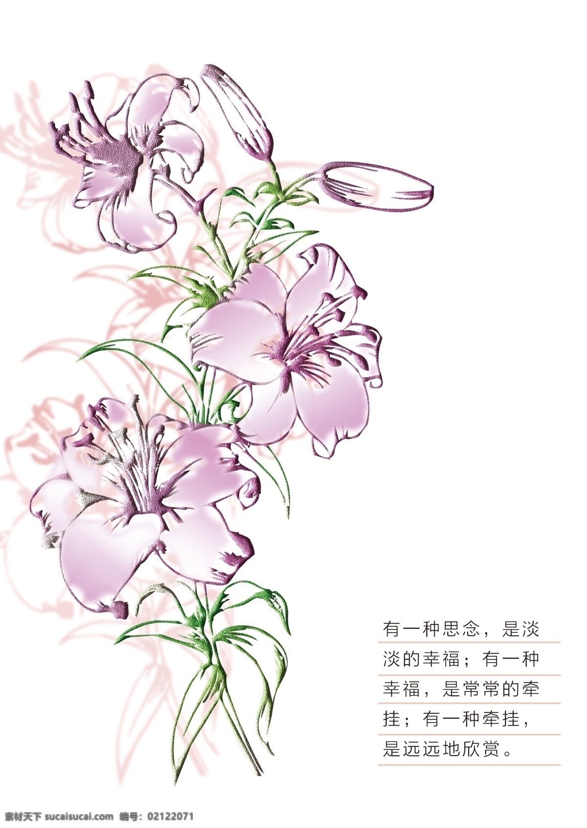 百合明信片 百合花 卡片 贺卡 明信片 思念 爱情 花 简笔画