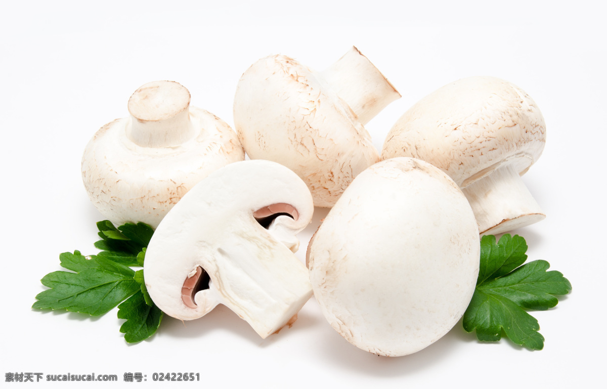 五 磨 茹 磨菇 香菇 蔬菜 新鲜蔬菜 食物原料 食材原料 食物摄影 餐饮美食