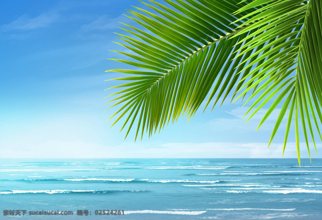 海边 椰树 唯美 动态 背景 视频 动态背景